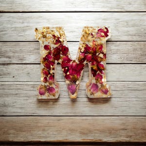 Letra de resina LED personalizada | Flores secas de verdade | Lembrança floral personalizada | Presente para ela, Decoração com nome de bebê, Letra comemorativa | Decoração de Natal