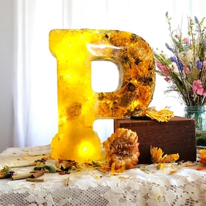 Custom LED Resin Letter | Real Dried Flowers | Personalized Gift for Her | Baby Initial | Floral Keepsake | Memorial Letters | Holiday Decor