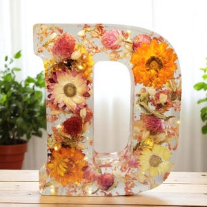 Custom LED Resin Letter | Real Dried Flowers | Personalized Floral Keepsake | Clear Epoxy Resin Decor, Birth Month Flower | Made for You