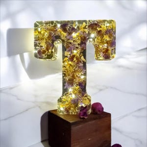 Custom LED Resin Letter with Dried Flowers - Personalized Decor