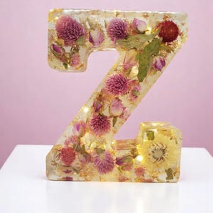 Custom LED Resin Letter | Real Dried Flowers | Personalized Floral Keepsake | Gift for Her, Baby Name Decor, Memorial Letter | Holiday Decor