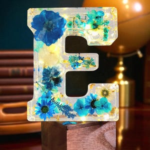 Letra de resina LED personalizada | Flores secas de verdade | Lembrança floral personalizada | Presente para ela | Iniciais de bebê | Carta comemorativa | Decoração de Natal