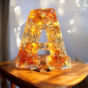 Custom LED Resin Letter | Real Dried Flowers | Personalized Floral Keepsake | Gift for Her, Baby Name Decor, Memorial Letter | Holiday Decor