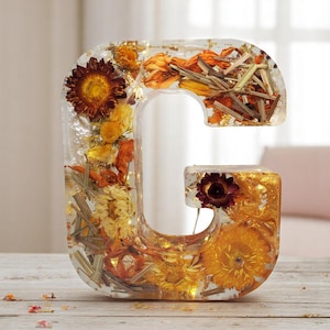 Letra LED de resina personalizada para escritorio, flores secas reales, recuerdo floral personalizado, regalo para ella, decoración para bebé, conmemoración, decoración navideña