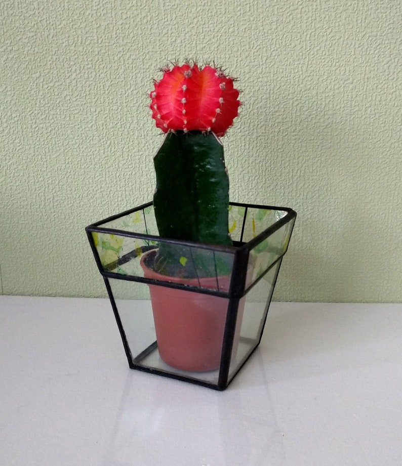 Glass pot Garden decor Small planter for cactus Geometric terrarium Container for flowers