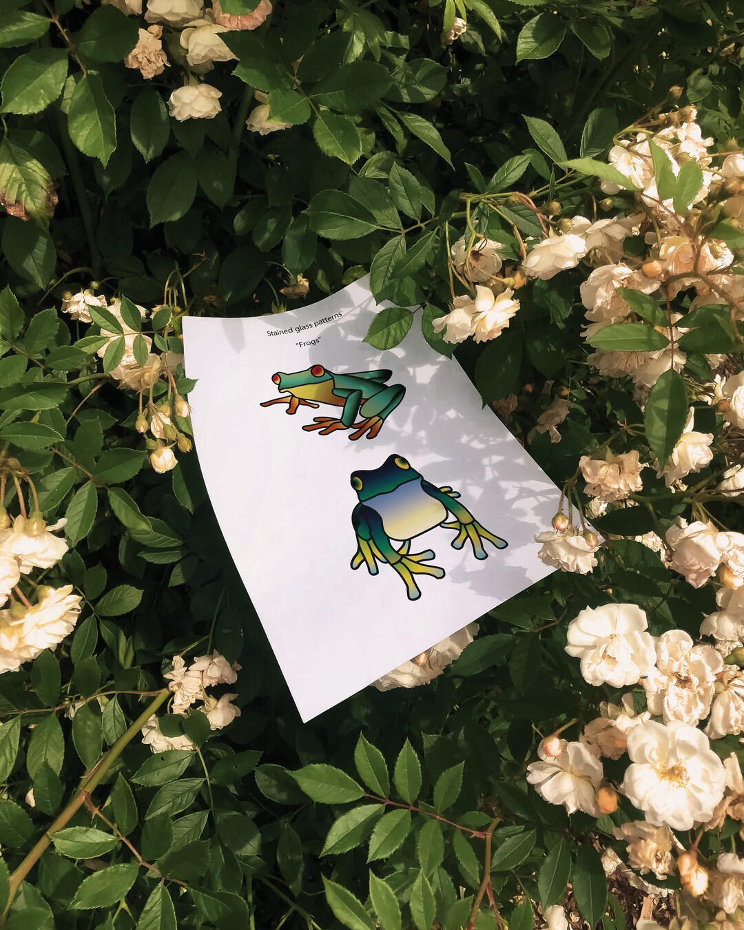 Stained Glass Patterns Frogs Stained Glass Pdf Instant - Etsy