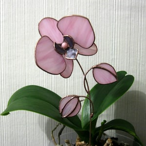 Stained glass orchid Stained glass flowers for  vase Stained glass 3d flower Orchid gift Glass orchid Glass flowers with stems