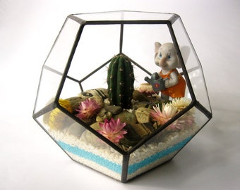 Geometric glass terrarium Dodecahedron medium Succulent terrarium Planter Terrarium air container