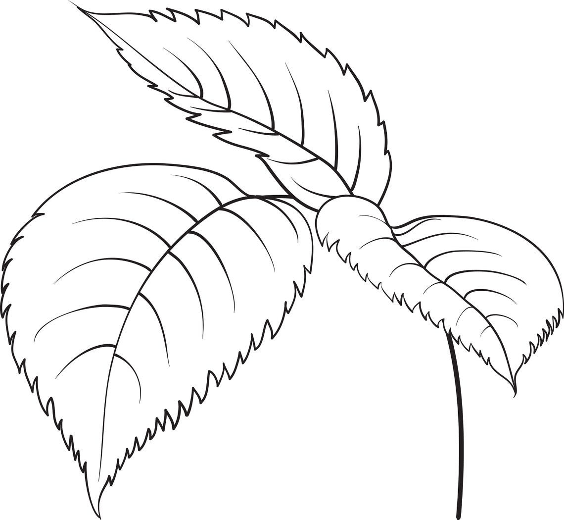 Fine Line Design Elements Clipart Black Rose Flower Line Art Etsy