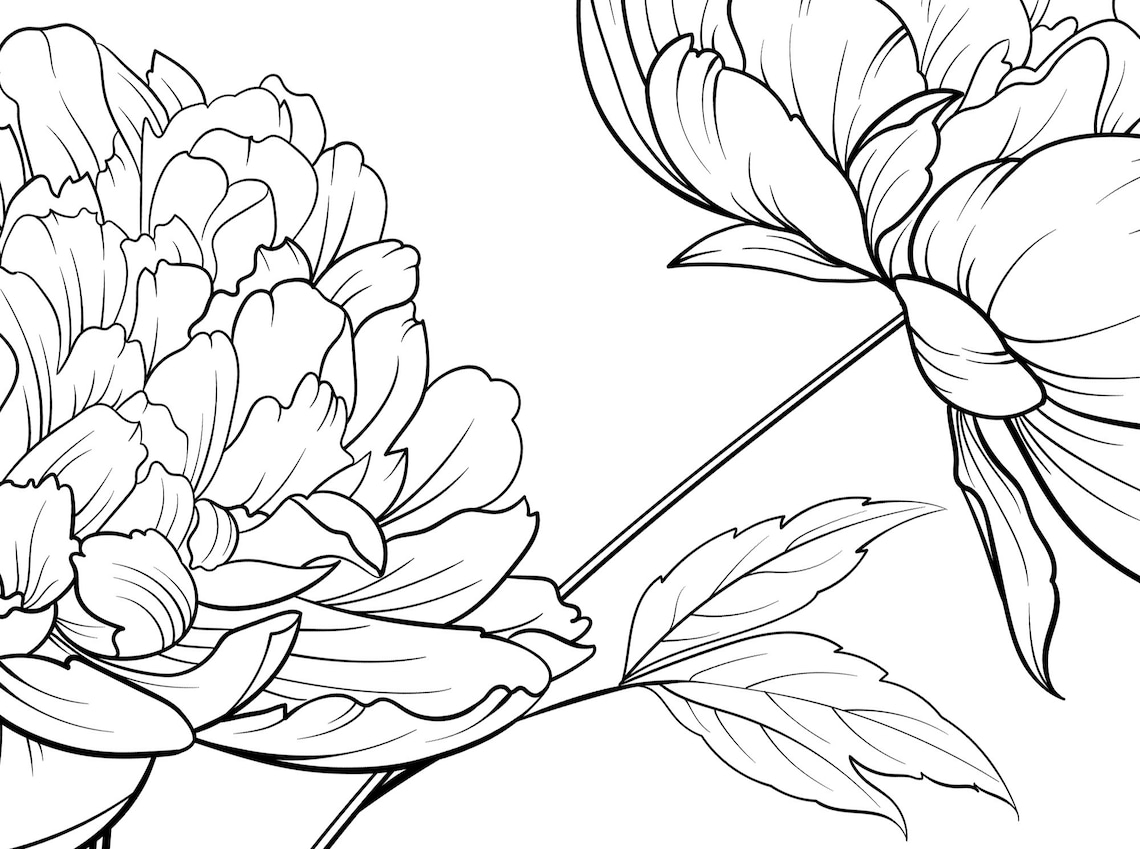 Peony Svg Peony Plant Floral Svg Black And White Peony Etsy free-printable-peony-stencils-and-silhouettes-free-printable-stencils