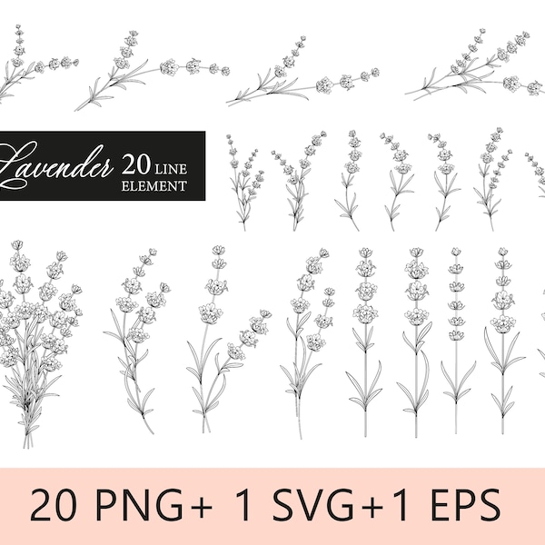 Lavendel Blume SVG, Blumen-Svg-Dateien, kommerzielle Nutzung Lavendel, Lavendel Pflanze botanische Clip Art, Lavendel Linie Kunst