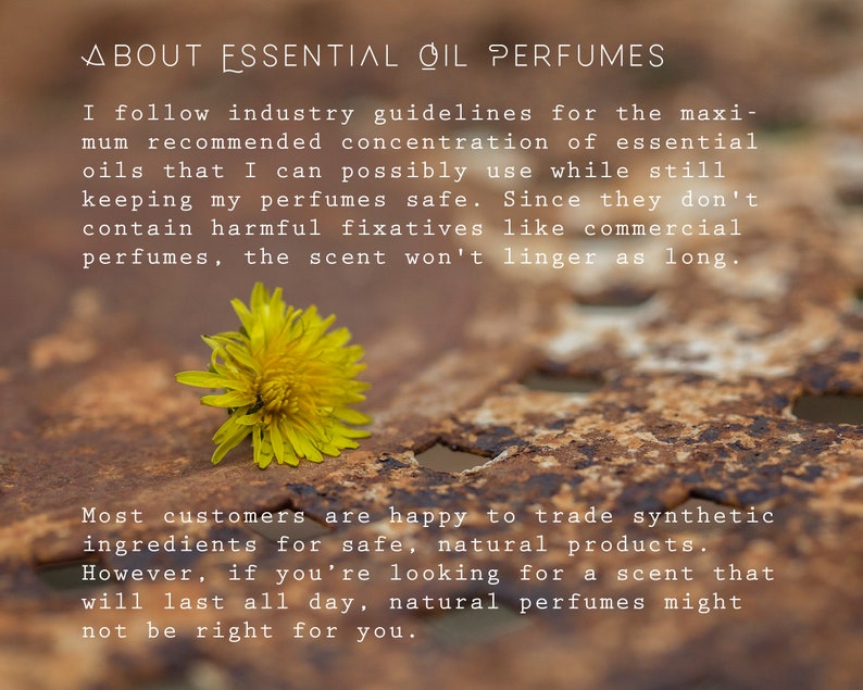 Twilight Essential Oil Roll-on Perfume Patchouli, Vanilla, Sandalwood Unisex Natural Scent Blend Roller Bottle image 5