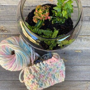 May include: A glass terrarium with a variety of green plants, including ferns and ivy, and a pink and orange flowering plant. The terrarium is sitting on a wooden surface next to a ball of yarn in shades of pink, blue, and yellow.