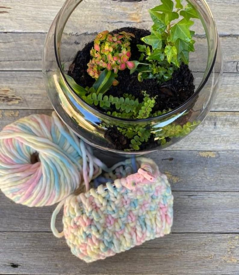May include: A glass terrarium with a variety of green plants, including ferns and ivy, and a pink and orange flowering plant. The terrarium is sitting on a wooden surface next to a ball of yarn in shades of pink, blue, and yellow.