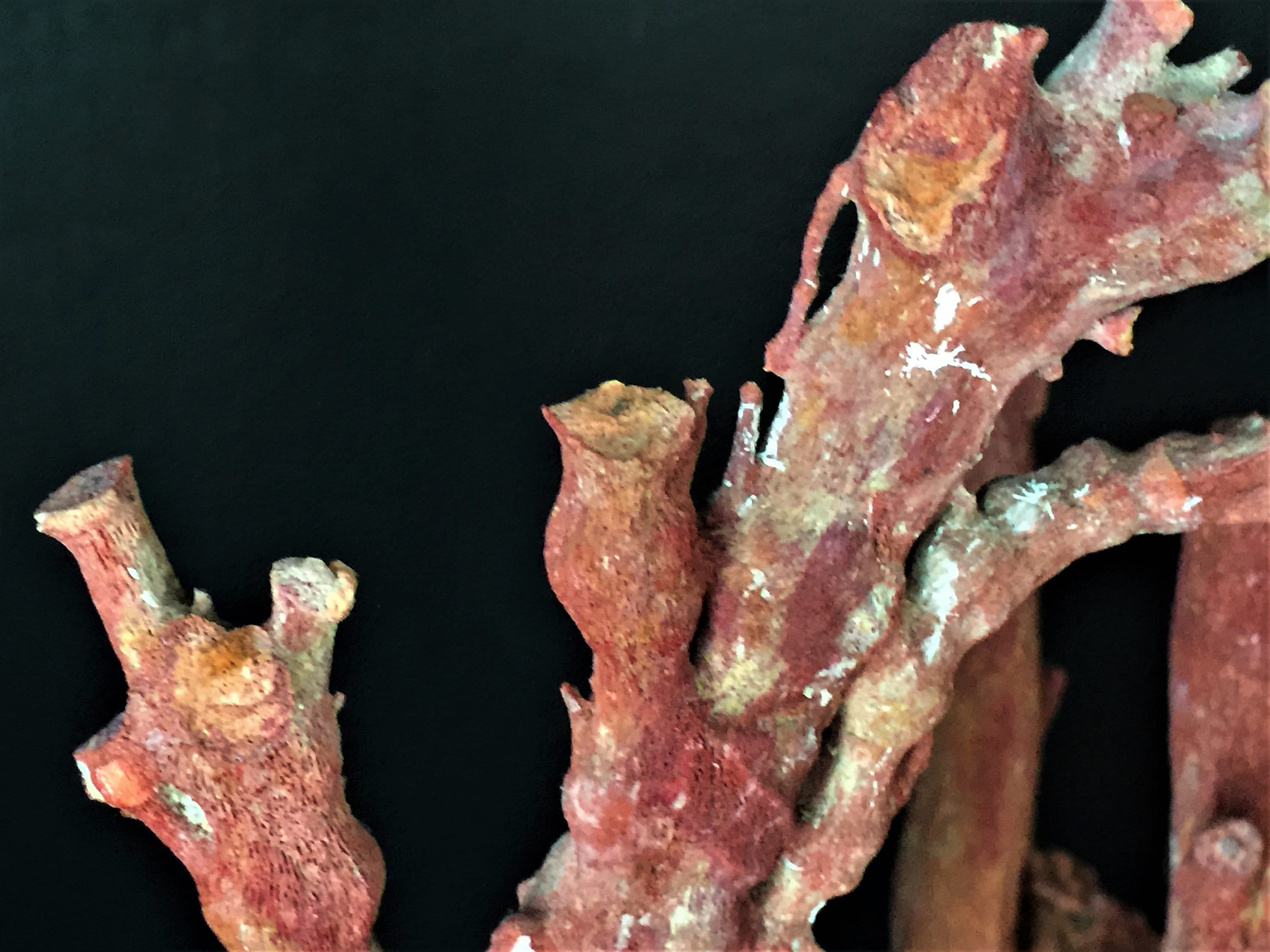30% off Vintage Indonesian natural red disease-death coral | Etsy