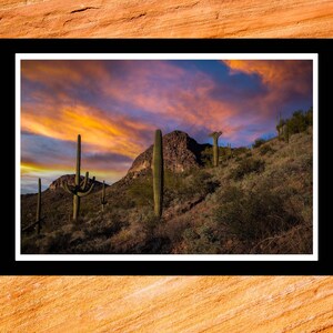 Fine Art Print - Crested Saguaro Sunset - dramatic Arizona desert color  photograph gift ideas present home office wall decor