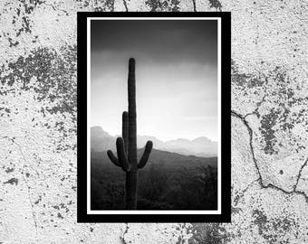 Fine Art Print - Superstition Saguaro Black and White - the Arizona desert - photograph idea, present, home office wall decor furnishings