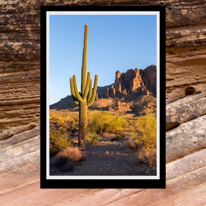Fine Art Print - Superstition Mountains - Saguaro Portrait - scenic sunset photograph, gift, present, home office wall decor furnishings