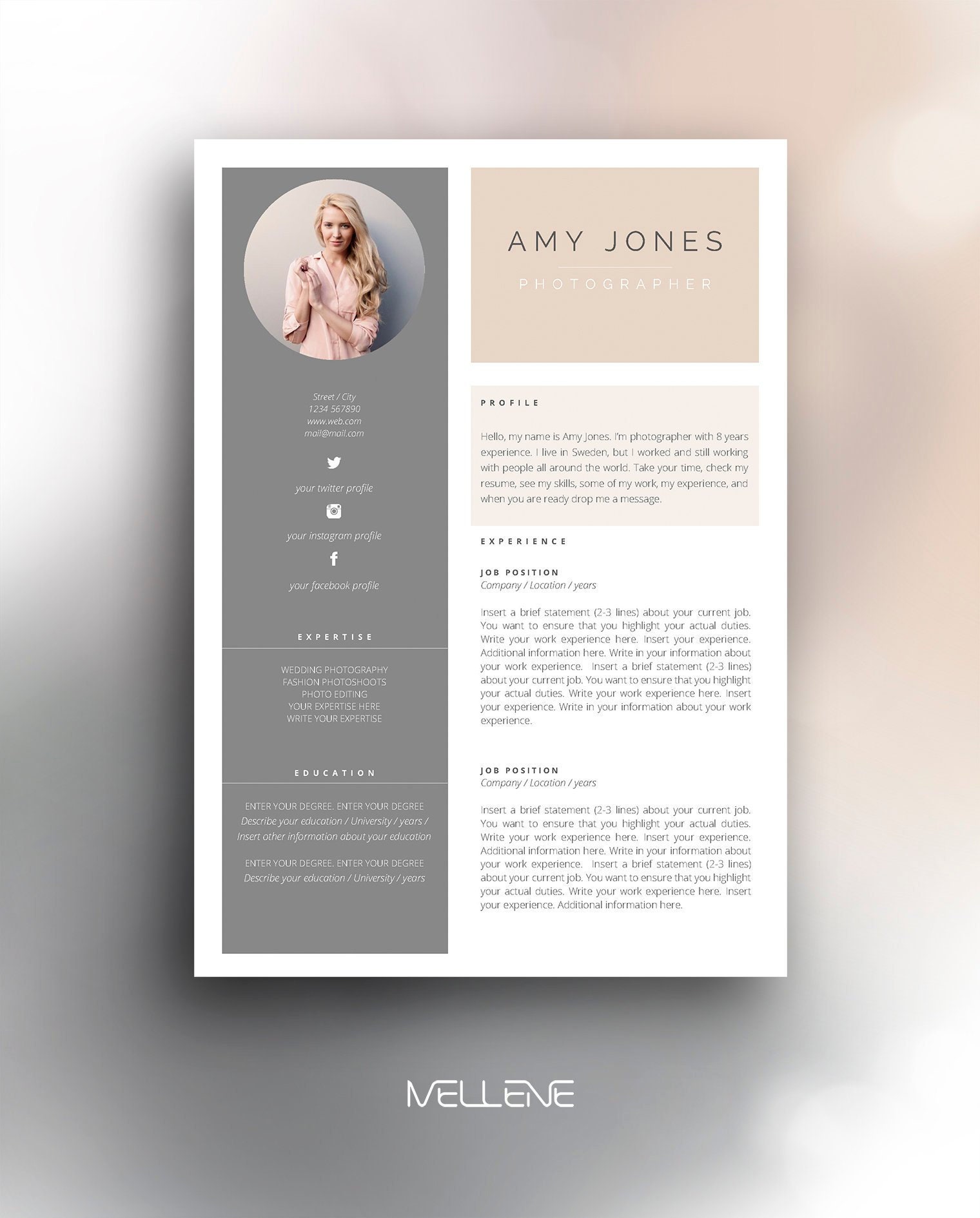 resume template 3 page cv template cover letter cover page for cv