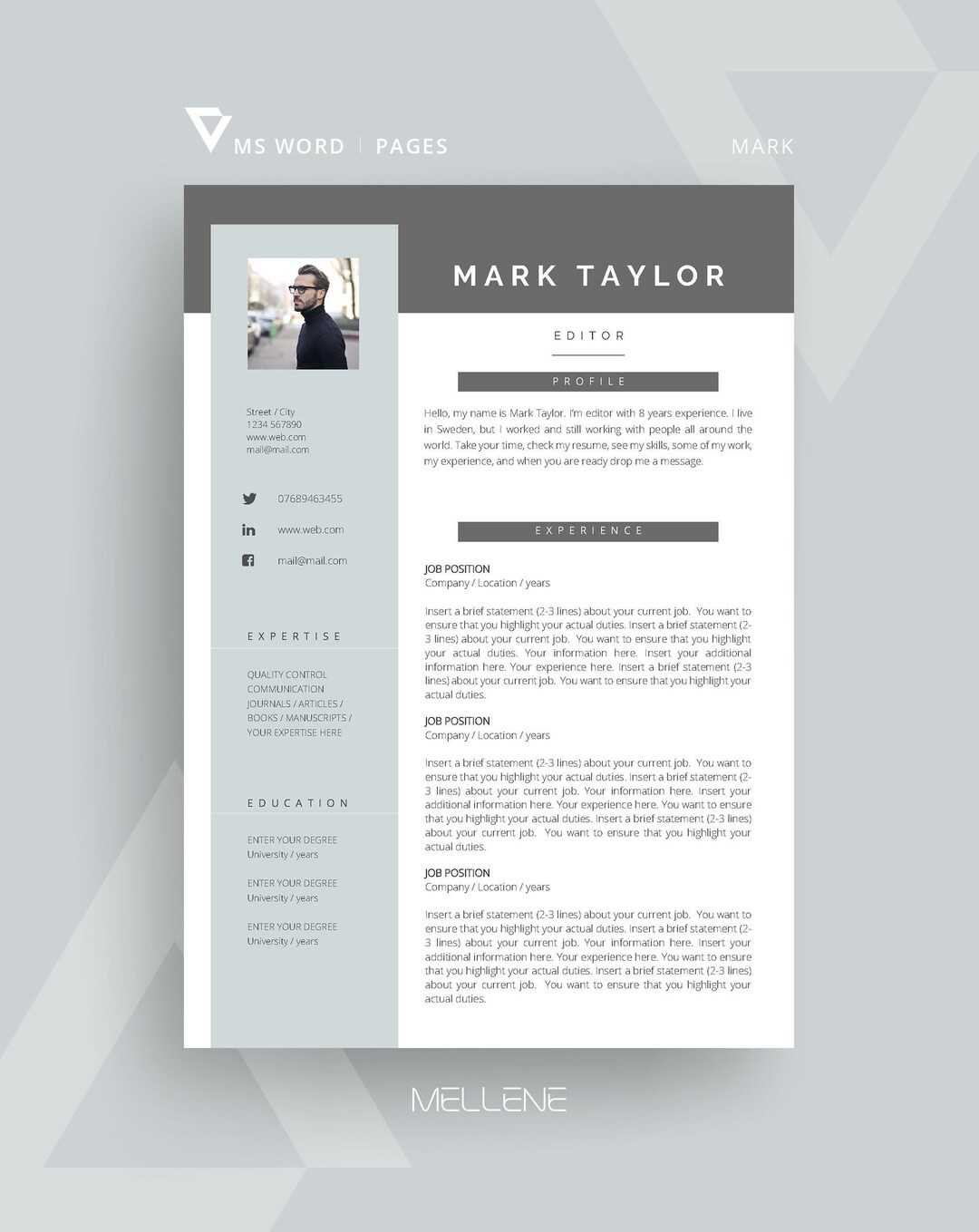 Pages Resume Template, CV Template for MS Word + Cover Letter ...