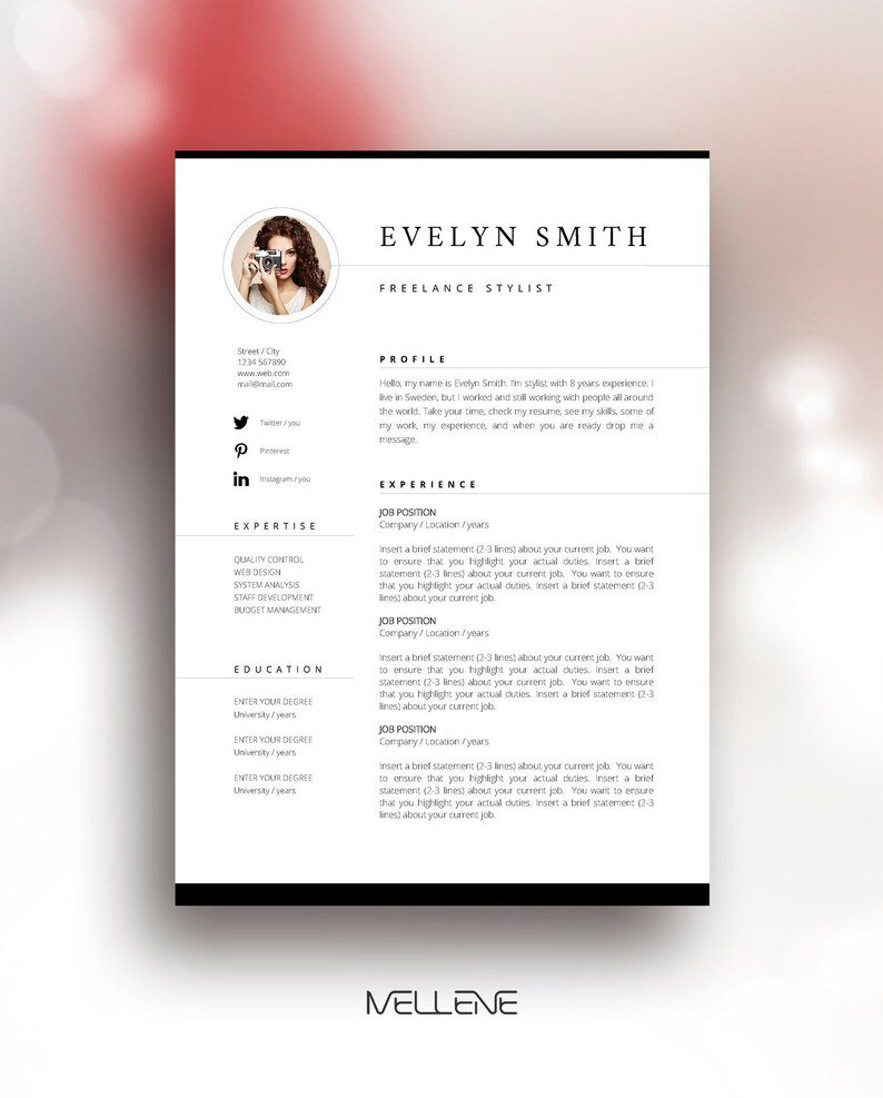 resume template 3 page