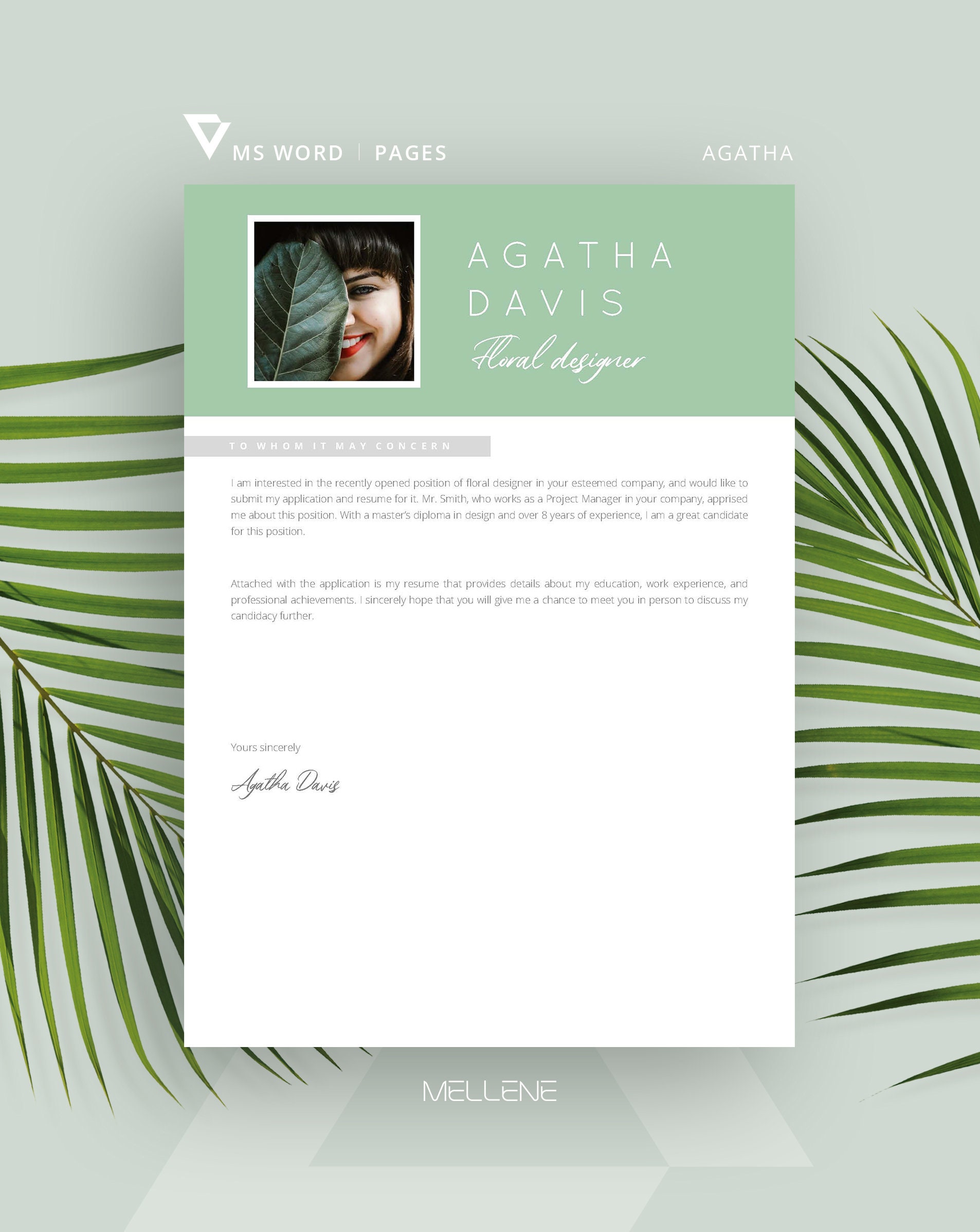 Pages Resume Template, CV for MS Word Template + Cover Letter. Resume ...