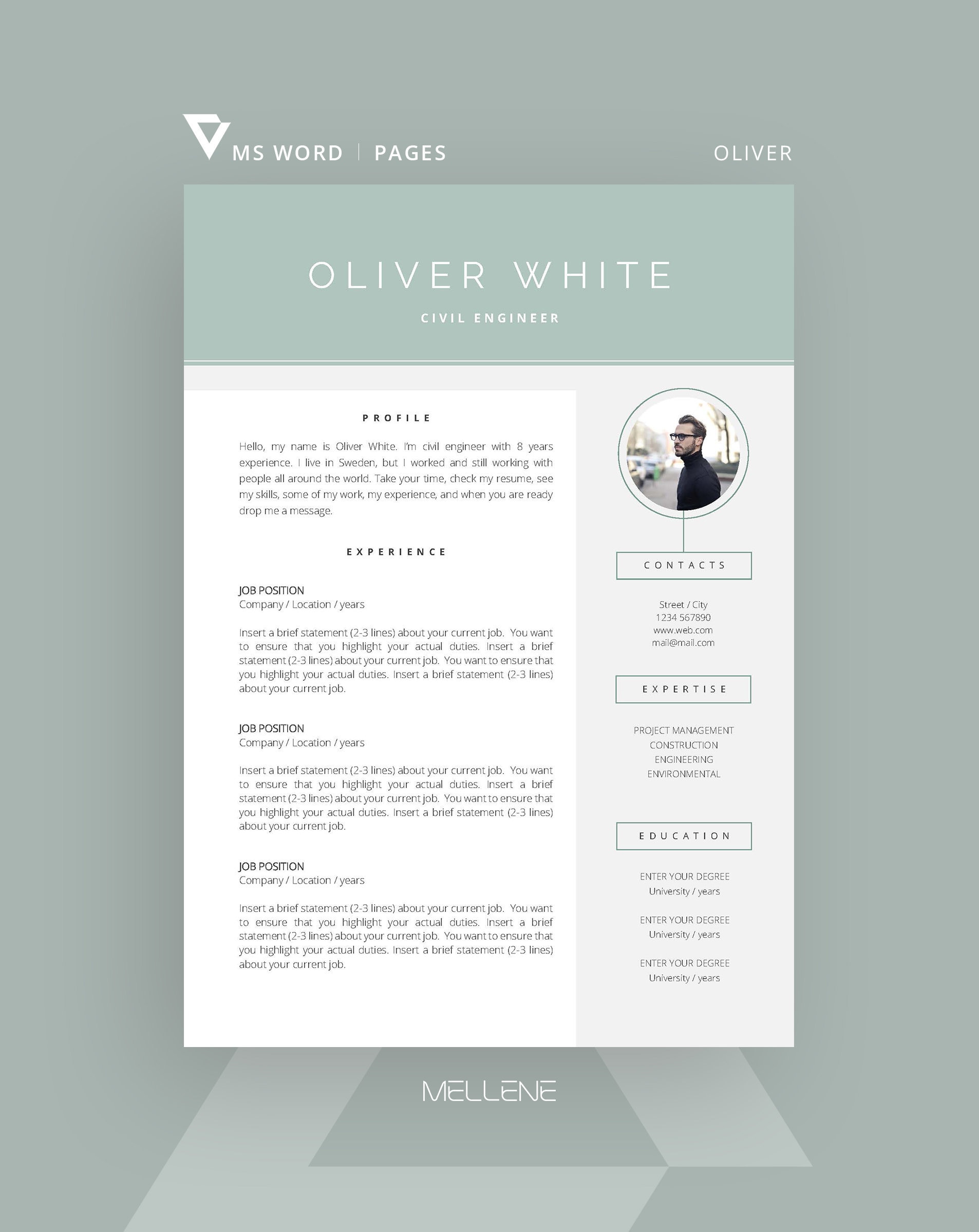 Pages Resume Template CV Template for MS Word Cover Letter - Etsy Canada