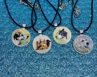 Collier de chien, race, chiots, chiot, chien terrier de Yorkshire, maltais, berger allemand, golden retriever, chiens de sauvetage, canine, animal familier