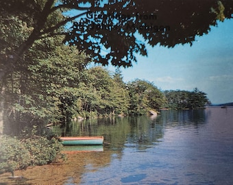 River Scene Row Boat Canoe Postcard Unused