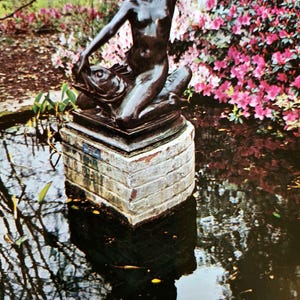 South Carolina Brookgreen Gardens Real Photo Murrells Postcard Unused