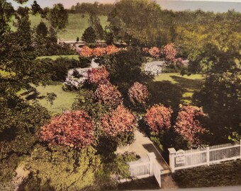 Nashville, Tennessee Garden of the Hermitage Home of General Andrew Jackson Linen Postcard Unused