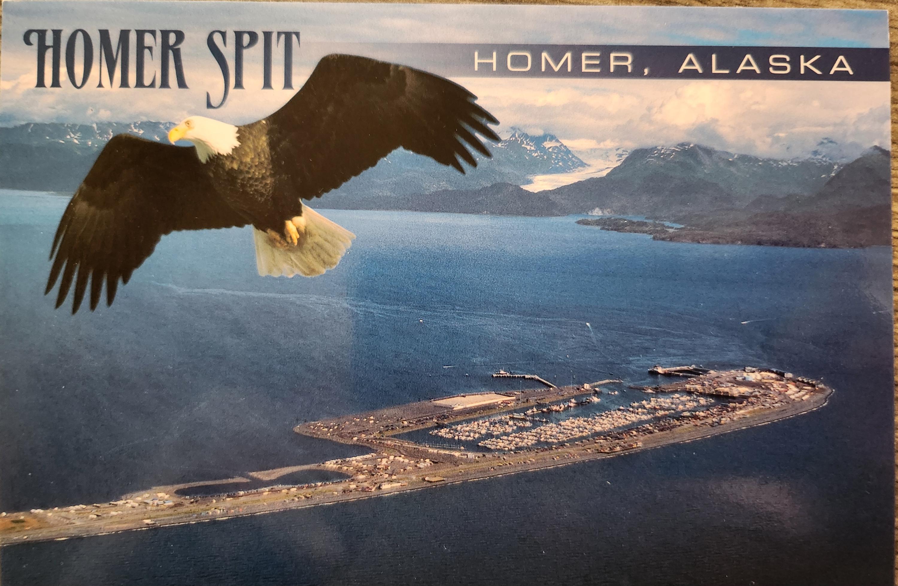 homer spit tobacco homer spit tobacco Homer, Alaska Aerial View and Bald Eagle Postcard Used