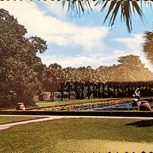South Carolina Brookgreen Gardens Palmetto Garden Murrels Inlet Real Photo Postcard Unused
