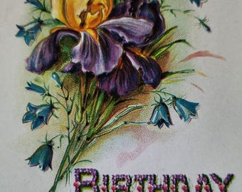Birthday Greetings Purple and Yellow Iris Postcard Used Embossed Made in Germany