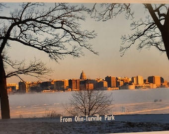 Madison Wisconsin From Olin Turville Park Postcard
