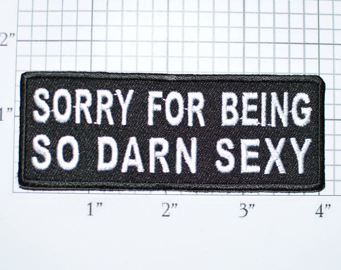 Sorry For Being So Darn Sexy, Funny Iron-on Embroidered Patch Clothing Applique Hottie Diva Beautiful Babe Jacket Vest Shirt Jean Purse t02b