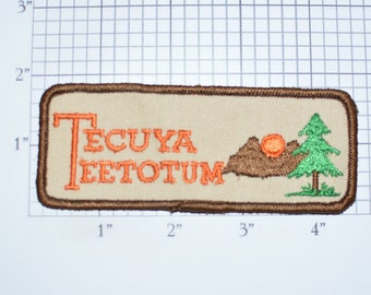 Tecuya Teetotum Sew-On Vintage Embroidered Clothing Patch Uniform Shirt Jacket Badge Camping Campground Hiking Outdoor Wilderness Logo e33r