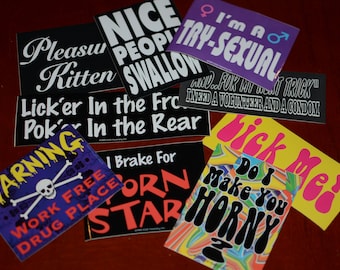 Vintage Naughty Adult Themed Glossy Stickers Sexual Innuendo Mature Sayings (9 Variation Options Available) Retro Humor Funny Gag Gift Idea