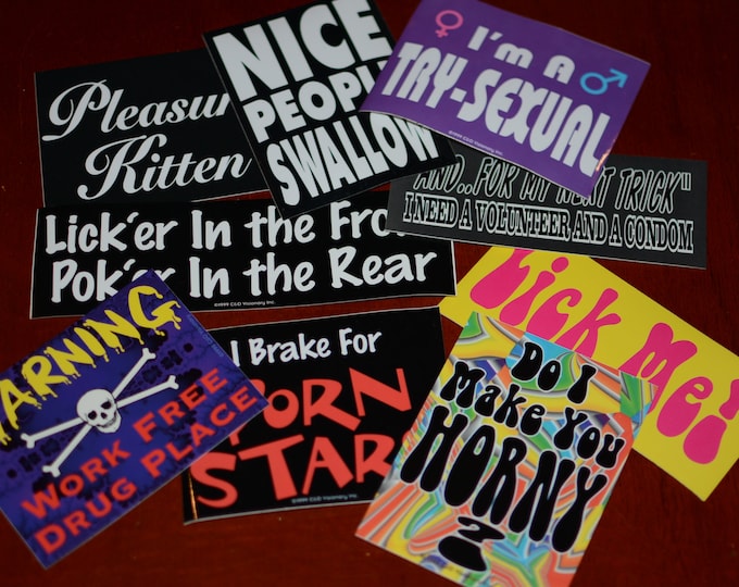 Vintage Naughty Adult Themed Glossy Stickers Sexual Innuendo Mature Sayings (9 Variation Options Available) Retro Humor Funny Gag Gift Idea