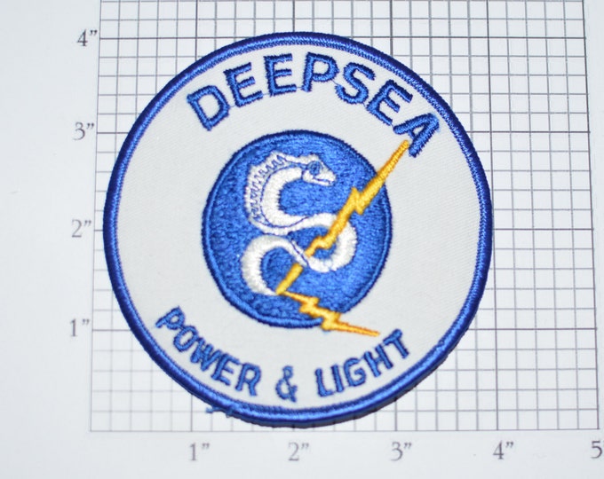 DEEPSEA Power & Light Vintage Embroidered Iron-On Clothing Patch for Jacket Shirt Vest Hoodie Backpack Electric Eel Lightning Bolt e26o