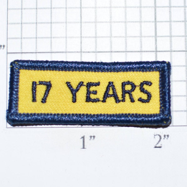 17 Years Iron-On Vintage Embroidered Clothing Patch Rocker Tab Jacket Vest Shirt Uniform Coat Milestone Anniversary Birthday Service e32d