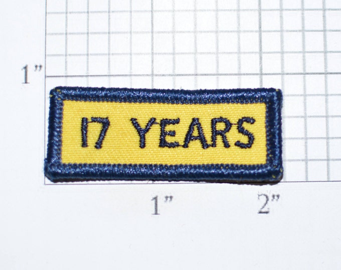 17 Years Iron-On Vintage Embroidered Clothing Patch Rocker Tab Jacket Vest Shirt Uniform Coat Milestone Anniversary Birthday Service e32d