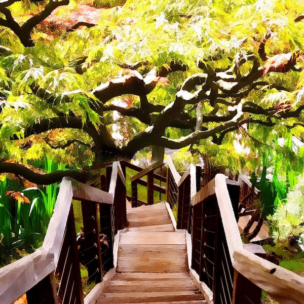 Digital jpg photo painting of Japanese maple tree with staircase