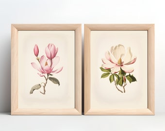 Pink Magnolia Vintage Botanical Illustrations | Set of 2 Digital Print Bundle | Elegant Floral Themed Prints | Printable Flower Wall Decor