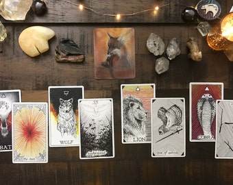 Animal Spirit Reading