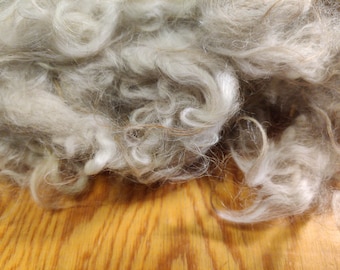 Rya Ewe fleece Swedish conservation breed