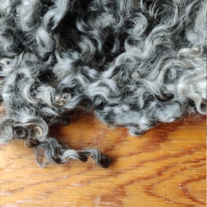 Gotland Lamb Wool Locks - 4 oz/112 gr