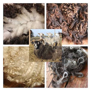 Puede incluir: Primer plano de diferentes tipos de lana de oveja. La lana es de varios colores, incluyendo blanco, marrón y negro. La lana es suave y esponjosa.