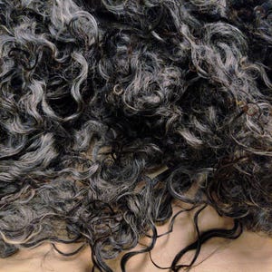 May include: A close-up shot of a mass of dark grey and silver curly hair. The hair is densely curled and has a natural, textured appearance. The strands vary in thickness and curl pattern, creating a dynamic visual texture. The overall colour is a mix of dark grey and silver.