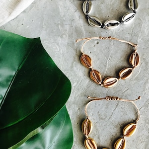 Op de afbeelding: Drie schelpenarmbanden met verstelbare koorden. De armbanden hebben zilveren, gouden en natuurlijke schelpen.